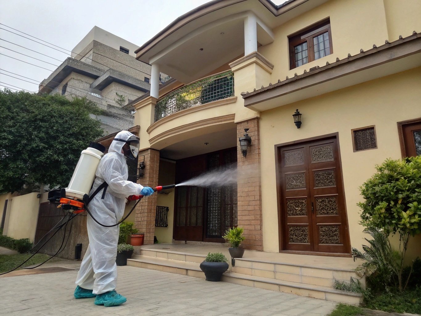 Fumigation Services